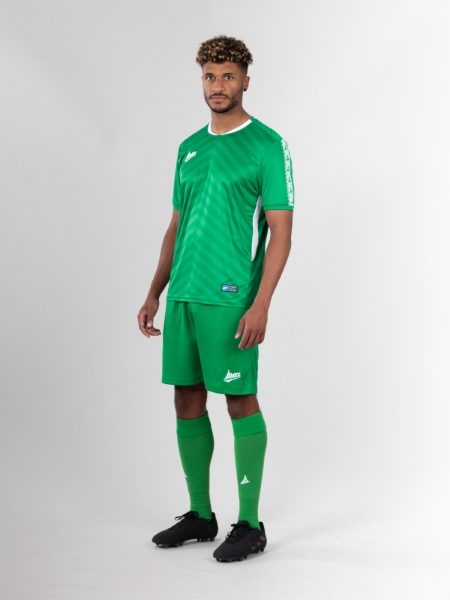 Picture of CLASSIC TEAM SOCK - GREEN