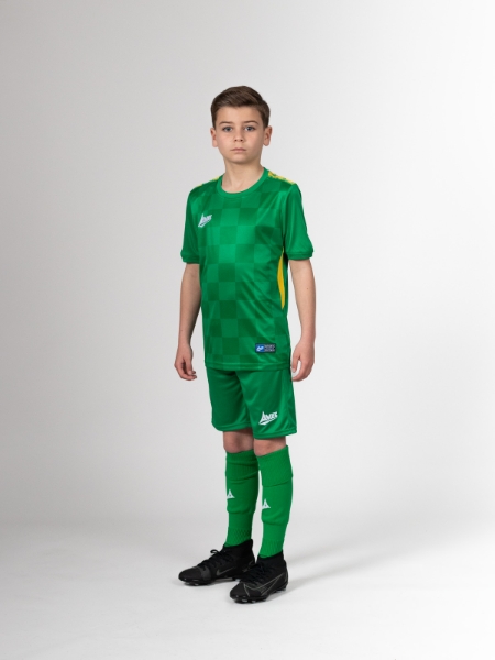 Picture of TEAM ID PRO PERFORM - GREEN/YELLOW