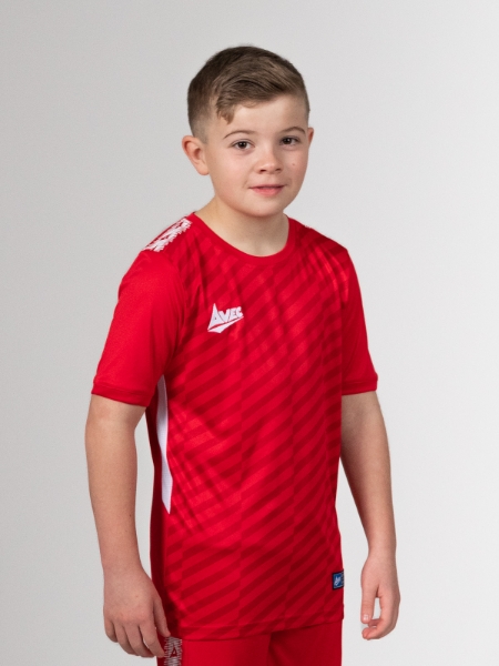 Picture of EVOLVE PRO 3 JERSEY - RED